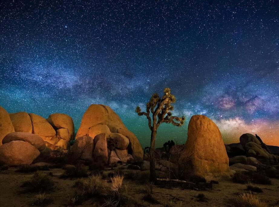 The Desert Nomad Retreat In Joshua Tree Village Εξωτερικό φωτογραφία