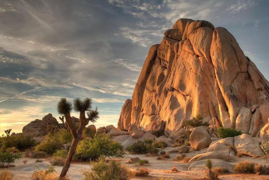 The Desert Nomad Retreat In Joshua Tree Village Εξωτερικό φωτογραφία