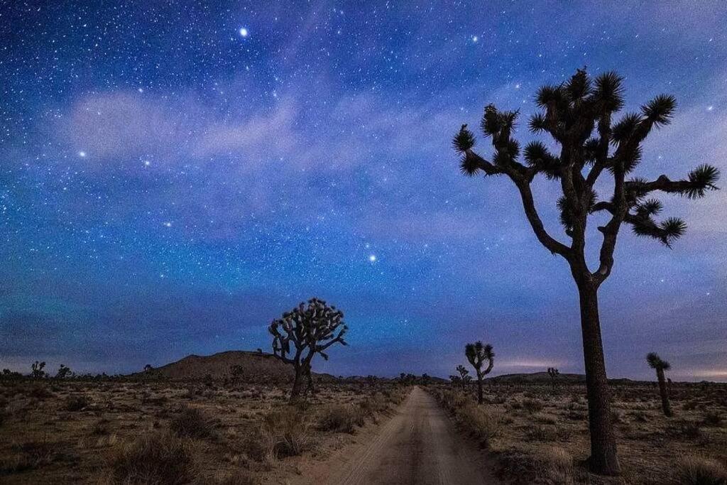 The Desert Nomad Retreat In Joshua Tree Village Εξωτερικό φωτογραφία