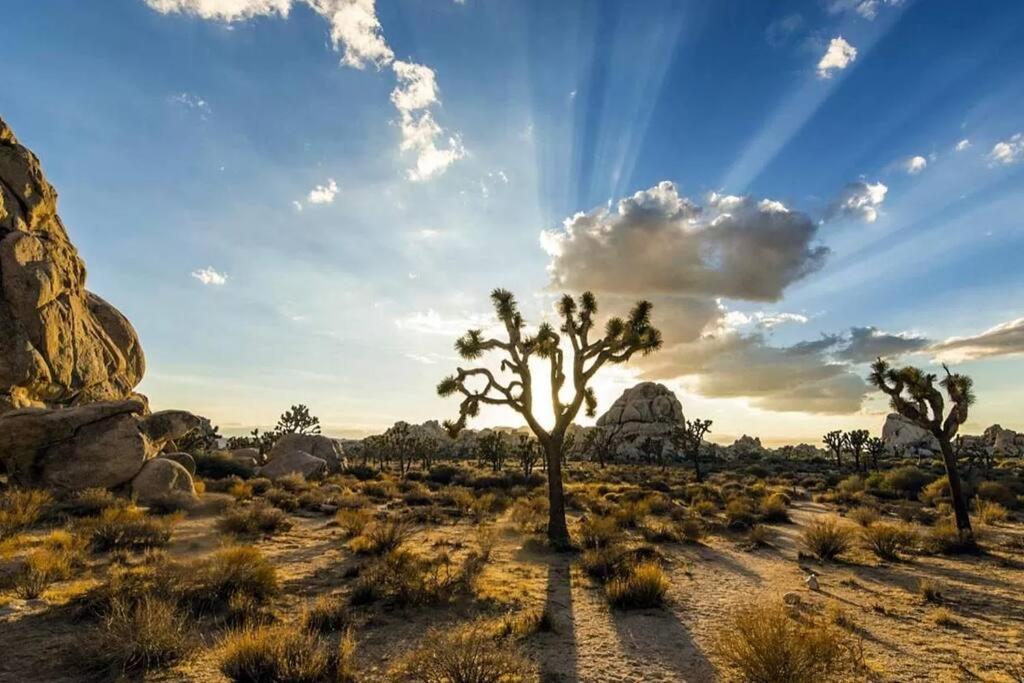 The Desert Nomad Retreat In Joshua Tree Village Εξωτερικό φωτογραφία